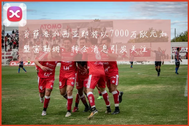 贡萨洛加西亚即将以7000万欧元加盟富勒姆，转会消息引发关注